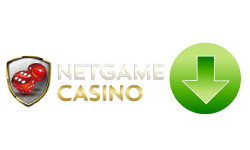 NetGame logo